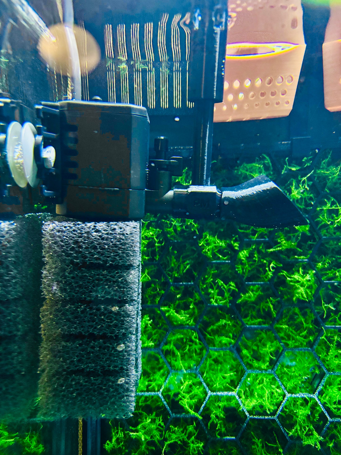 Moby Skimmer kompatibel mit Aquael Pat Mini  Oberflächenabsauger für Aquarien, zur Entfernung von Kahmhaut Reinigung