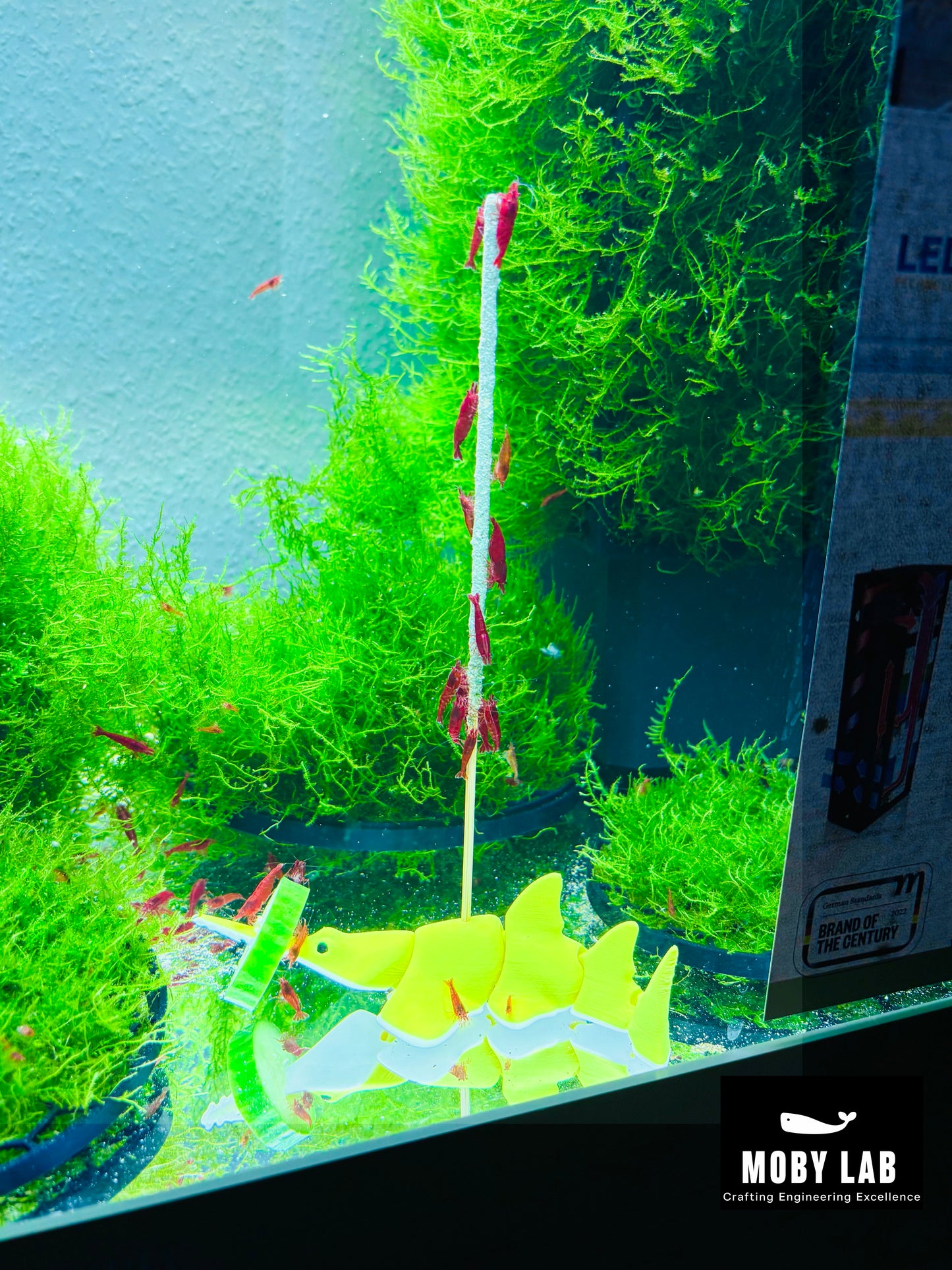 Garnelen Stick Lollie Fischfutter Halter für Pleco Welse Saugwelse Feeder