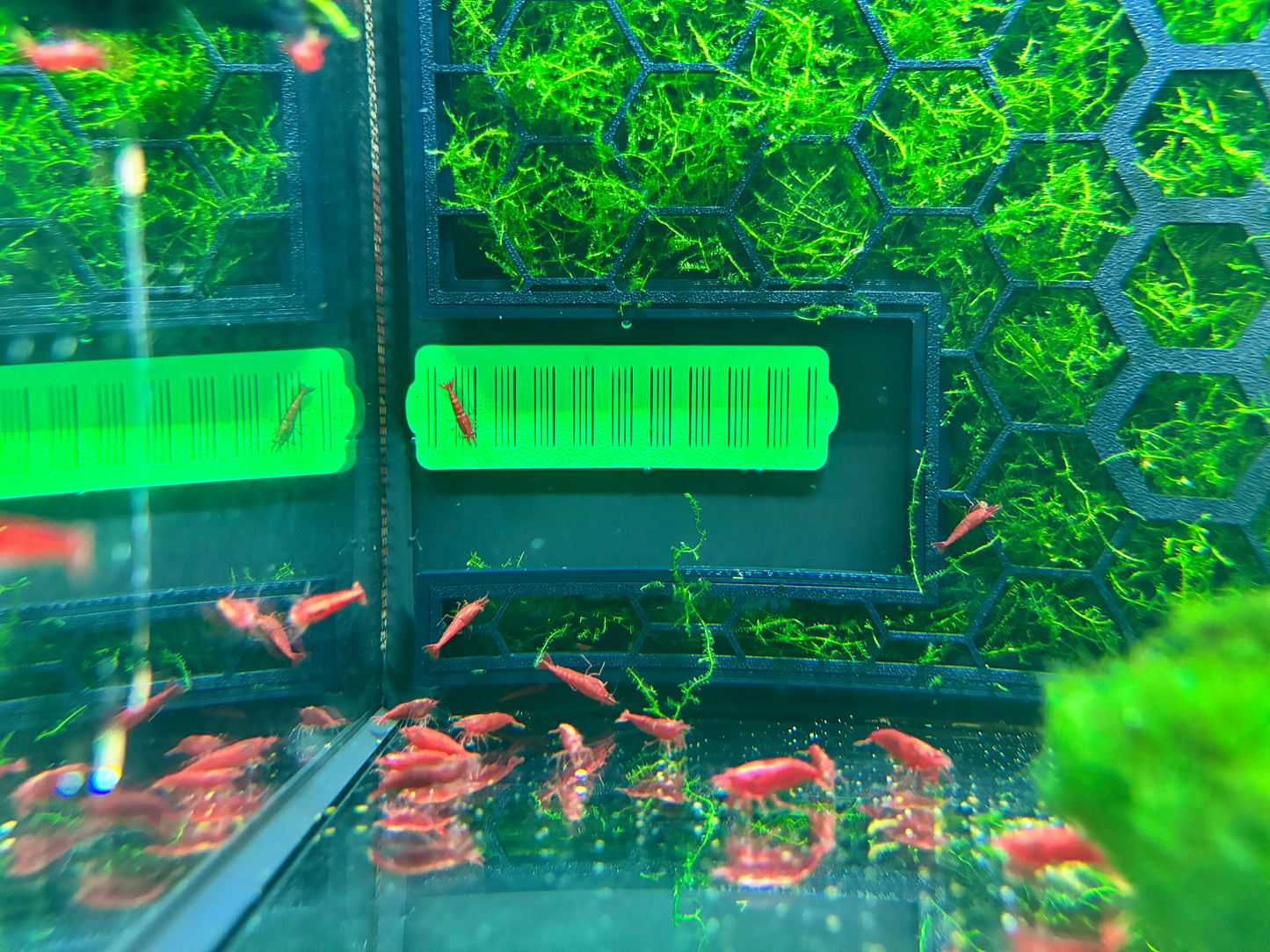 Schutzgitter für Fluval Flex 34L 57L 9Gallonen 15Gallonen Abdeckungen 