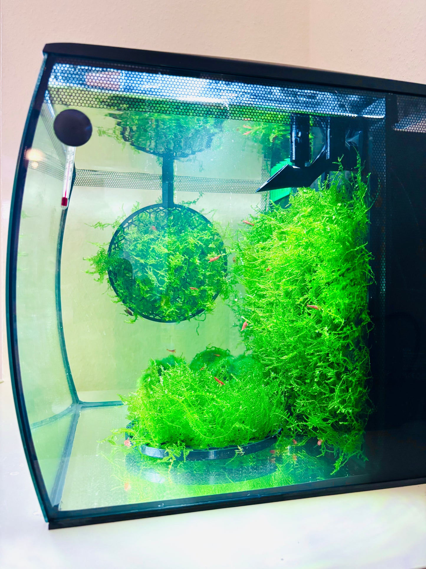 Moby Skimmer für Fluval Flex Oberflächenabsauger