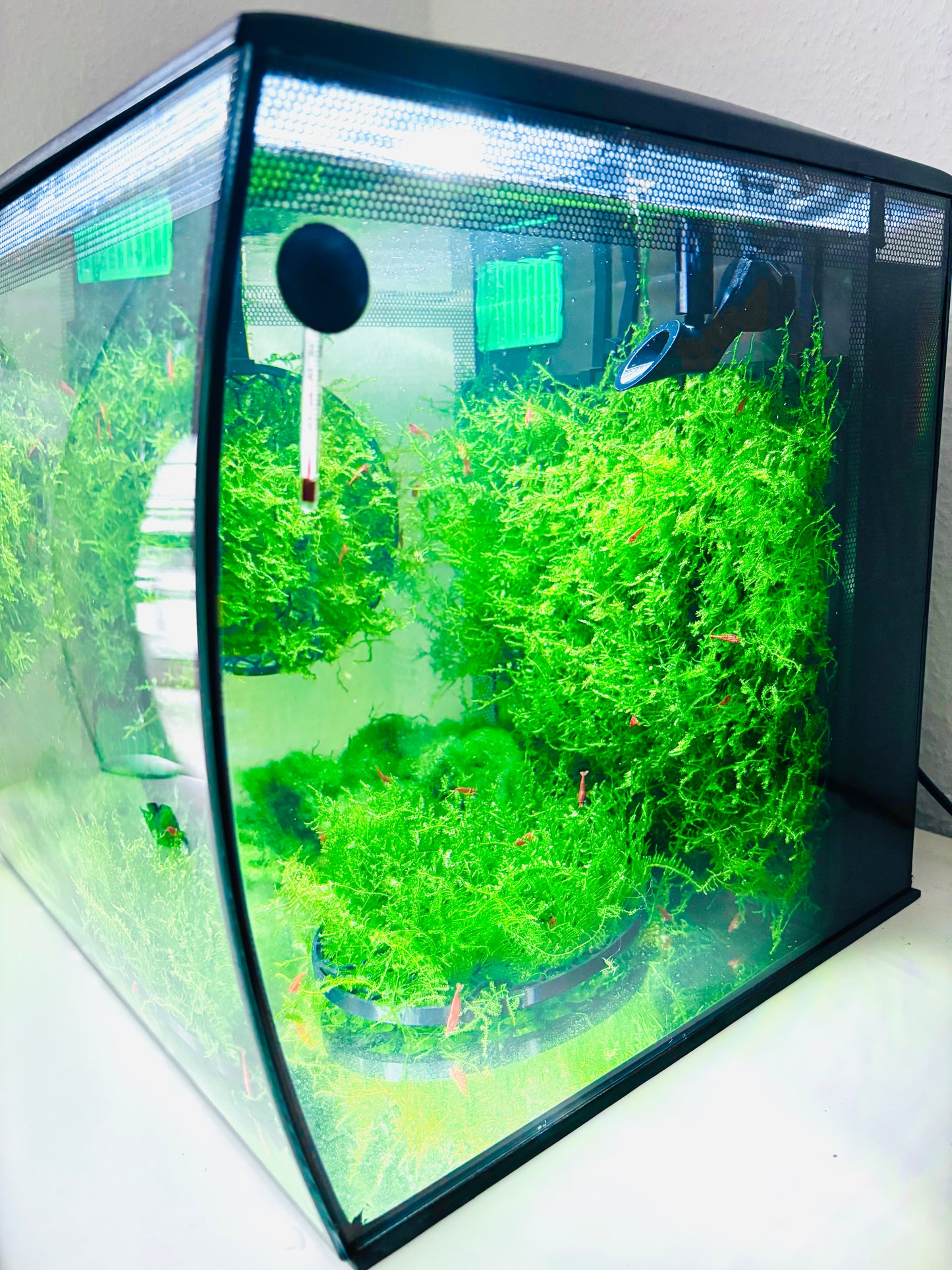 Moby Skimmer für Fluval Flex Oberflächenabsauger