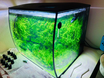 Moss Wall for Fluval Flex 34L/57L (9/15 Gallon) Aquascape Net Panel Moby Lab Studio Moss Wall for Fluval Flex 34L/57L (9/15 Gallon) Aquascape Net Panel Moby Lab Studio