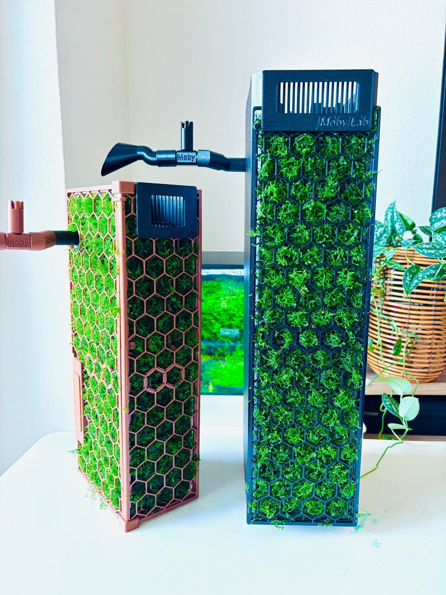 Bioflow Gold Moss Wall for Juwel Bioflow Filter – Moby Lab Studio