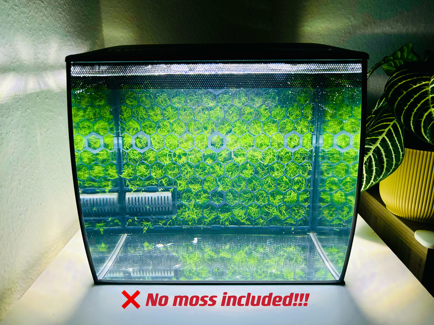 Moss Wall for Fluval Flex 34L/57L (9/15 Gallon) Aquascape  Net Panel