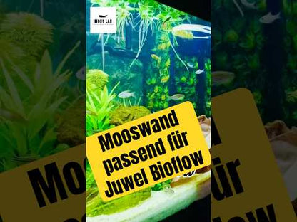 Filter Mooswand für Juwel Bioflow Filter